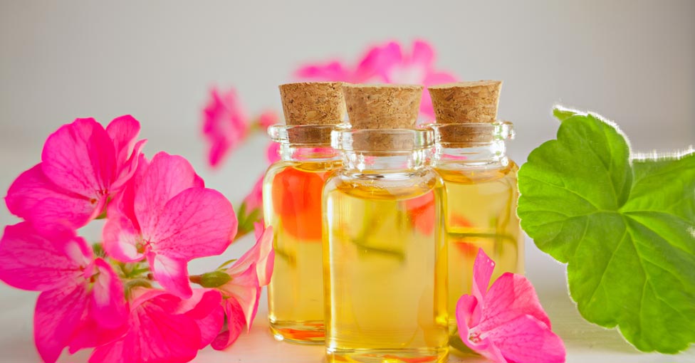 Geranium Oil Benefits for Skin and Hair