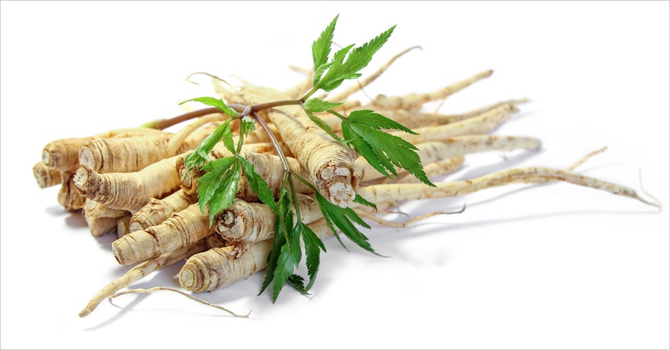 Ginseng Extract for Hair Fall