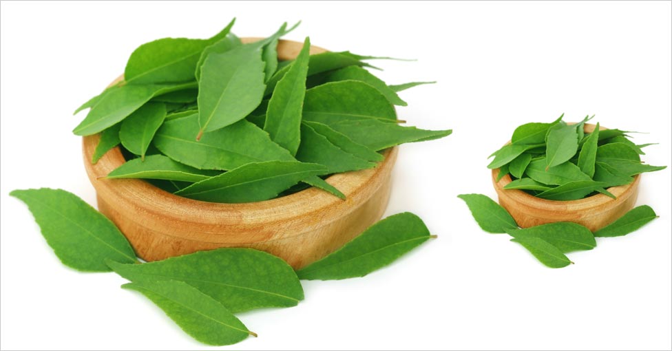 Curry Leaf Benefits for Hair