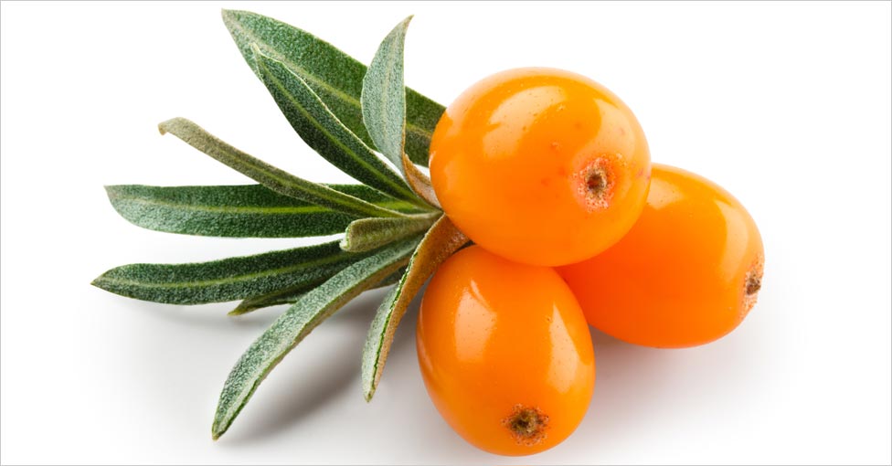 Sea Buckthorn Oil for Skin Care and Hair