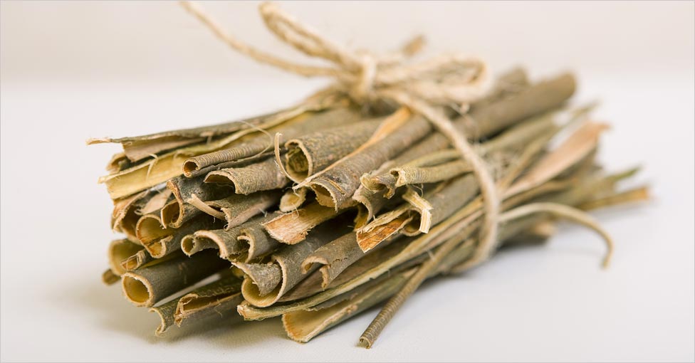 Willow Bark for Hair Care