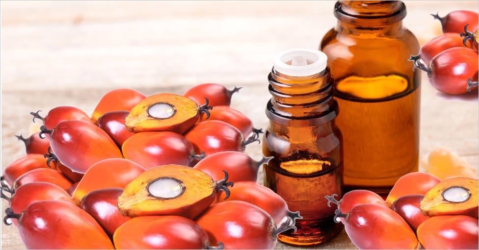 palm kernel oil for skin