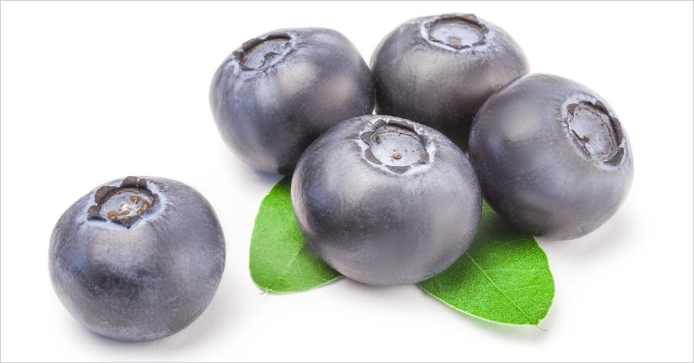 Blueberry for hair care