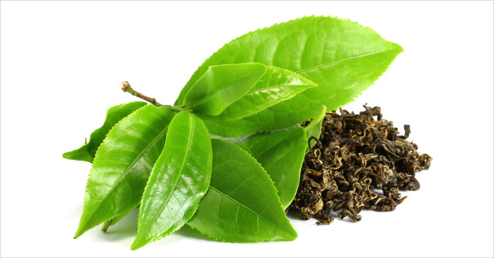 Know about the Benefits of Green Tea for Hair - Mirah Belle